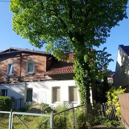 公寓 W Chacie Rybackiej Na Cichej 格但斯克
